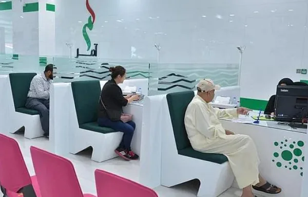 Translation Services